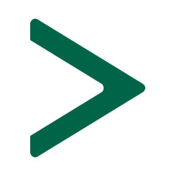 next arrow icon