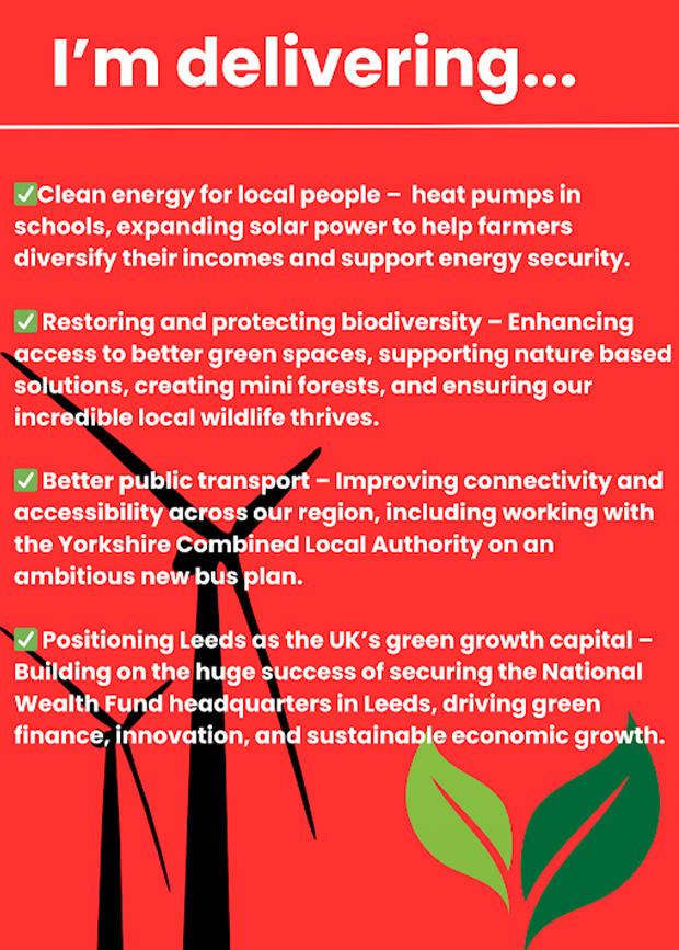Infographic of Katie's Pledges